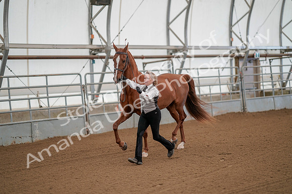 July 19, 2019 - 72