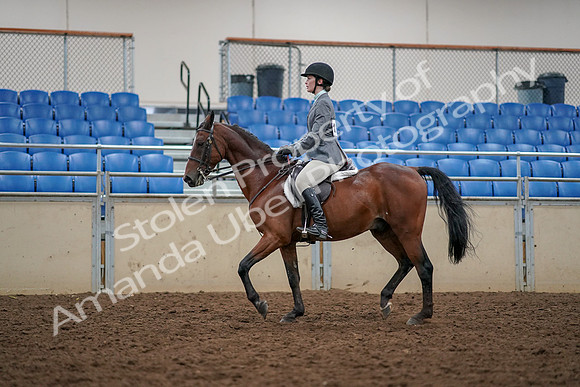 2019 Morgan Horse Show - Aug 30, 2019 - 23367