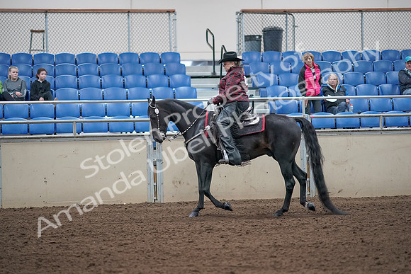 2019 Morgan Horse Show - Aug 31, 2019 - 10564