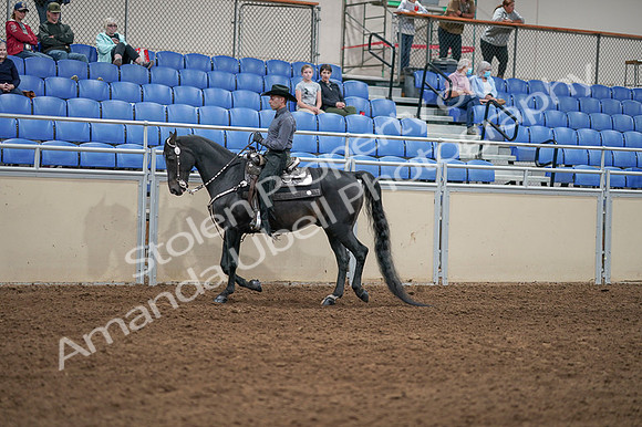 2020 - AB Morgan Horse - Fri, Sept 04 - 08287