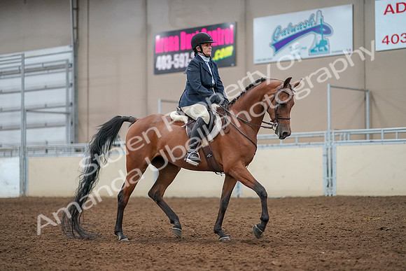 2019 Morgan Horse Show - Aug 30, 2019 - 22588