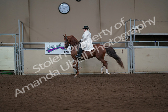 2019 Morgan Horse Show - Aug 31, 2019 - 17917