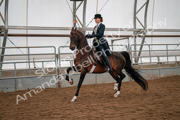 July 19, 2019 - 10384