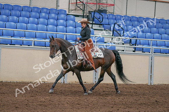 2020 - AB Morgan Horse - Sun, Sept 06 - 01607
