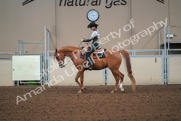 2019 Morgan Horse Show - Aug 30, 2019 - 16794