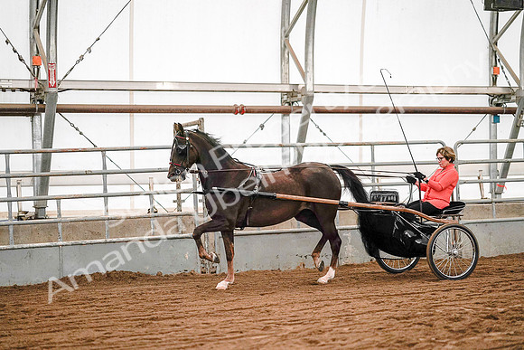 July 19, 2019 - 6965