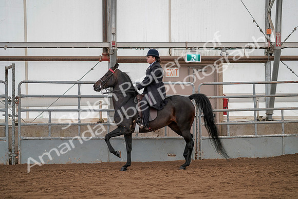 July 20, 2019 - 04216