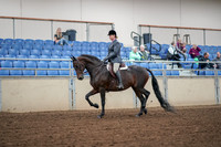2019 Morgan Horse Show - Aug 30, 2019 - 13874
