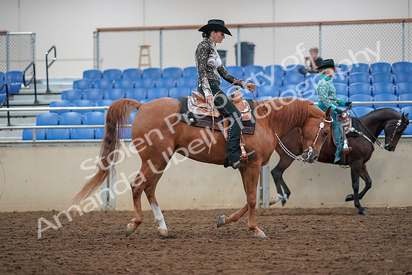 2019 Morgan Horse Show - Aug 30, 2019 - 16976