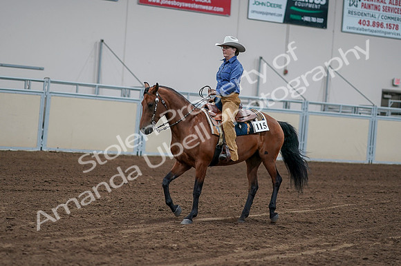 2020 - AB Morgan Horse - Fri, Sept 04 - 00149