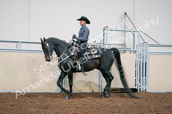 2020 - AB Morgan Horse - Fri, Sept 04 - 08546