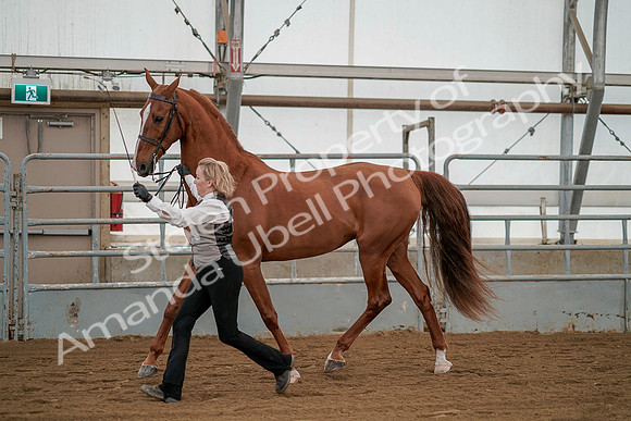July 19, 2019 - 1357