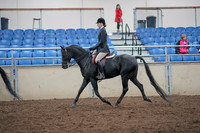 2019 Morgan Horse Show - Aug 31, 2019 - 17139