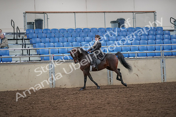 2019 Morgan Horse Show - Aug 30, 2019 - 28012