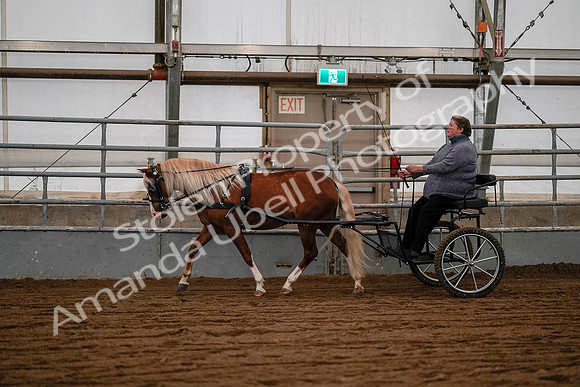 July 19, 2019 - 7075