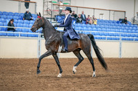 2020 - AB Morgan Horse - Sat, Sept 05 - 02618