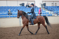 2019 Morgan Horse Show - Aug 31, 2019 - 18017