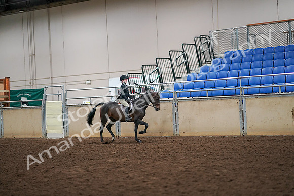 2019 Morgan Horse Show - Aug 30, 2019 - 12404