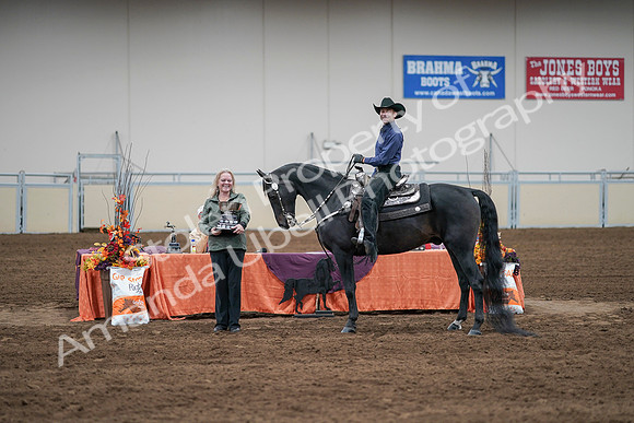 2020 - AB Morgan Horse - Sun, Sept 06 - 07629
