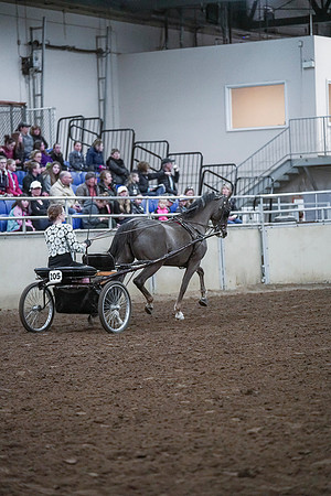 Spring Fling - Saturday - April 20, 2019  -  00257