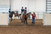 2020 - AB Morgan Horse - Fri, Sept 04 - 04464