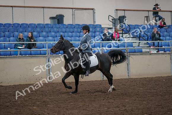 2019 Morgan Horse Show - Aug 31, 2019 - 07305