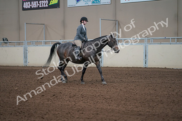 2019 Morgan Horse Show - Sept 01, 2019 - 11080