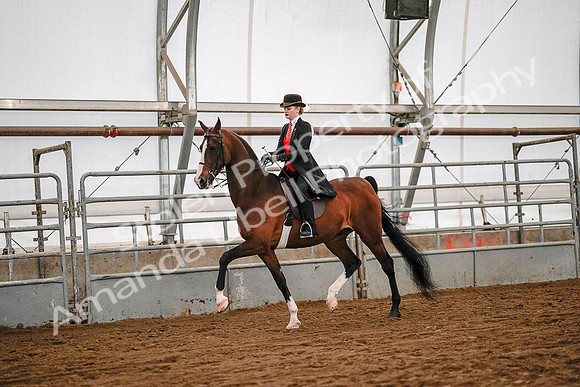 July 19, 2019 - 9036