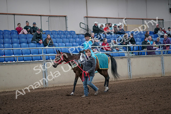 2019 Morgan Horse Show - Aug 31, 2019 - 09942