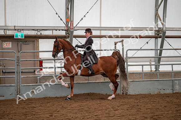 July 19, 2019 - 10346