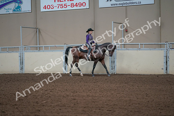 2019 Morgan Horse Show - Aug 31, 2019 - 10734