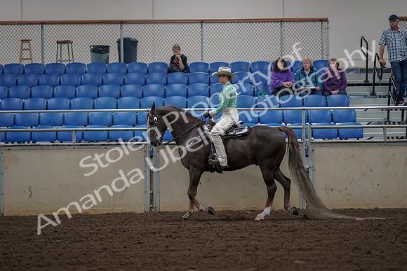 2019 Morgan Horse Show - Aug 30, 2019 - 25957
