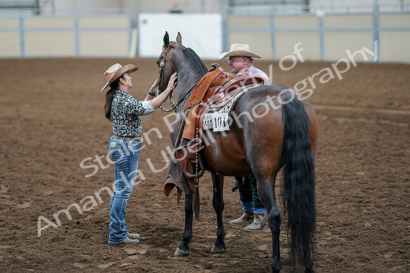 2020 - AB Morgan Horse - Fri, Sept 04 - 00656