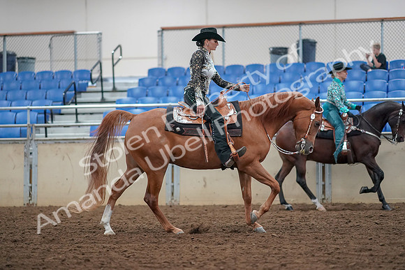 2019 Morgan Horse Show - Aug 30, 2019 - 16970