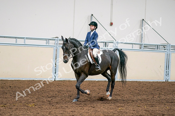 2020 - AB Morgan Horse - Sun, Sept 06 - 08172