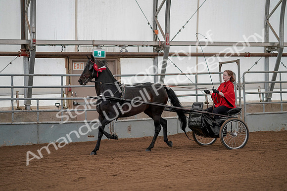 July 20, 2019 - 00309