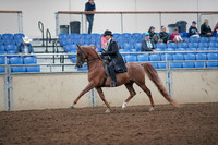 2019 Morgan Horse Show - Aug 31, 2019 - 12176