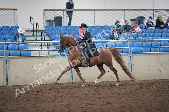 2019 Morgan Horse Show - Aug 31, 2019 - 12176