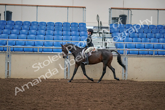2019 Morgan Horse Show - Aug 30, 2019 - 12145