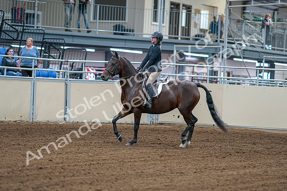 2020 - AB Morgan Horse - Fri, Sept 04 - 01496
