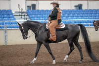 2019 Morgan Horse Show - Aug 31, 2019 - 06023