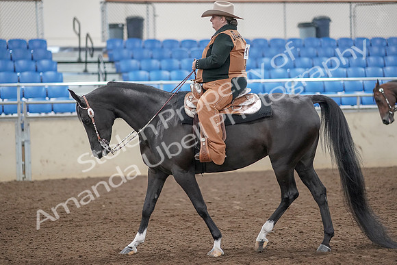 2019 Morgan Horse Show - Aug 31, 2019 - 06023