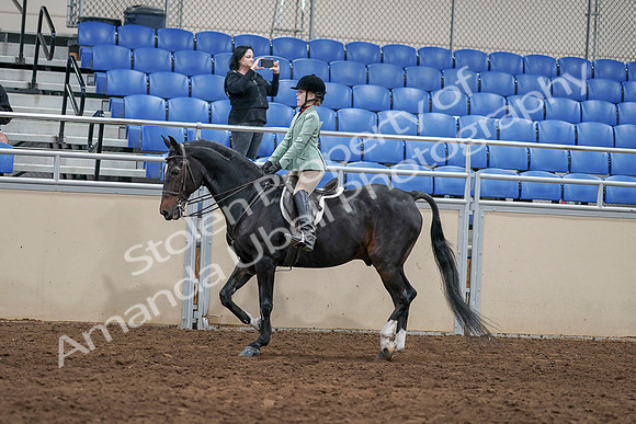 2020 - AB Morgan Horse - Sun, Sept 06 - 07809