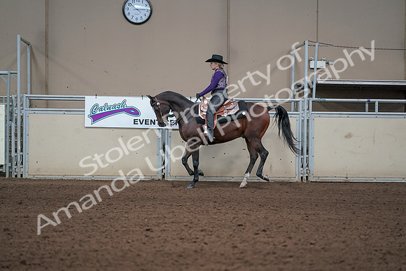 2019 Morgan Horse Show - Aug 31, 2019 - 10598