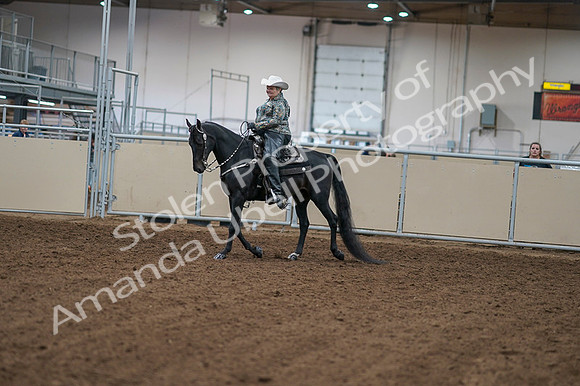 2020 - AB Morgan Horse - Fri, Sept 04 - 03493