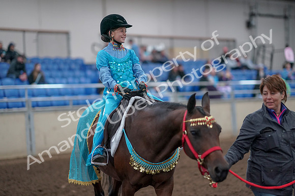 2019 Morgan Horse Show - Aug 31, 2019 - 09959