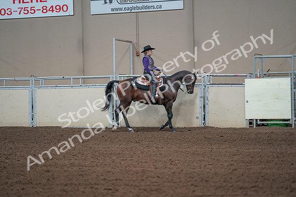 2019 Morgan Horse Show - Aug 31, 2019 - 10742