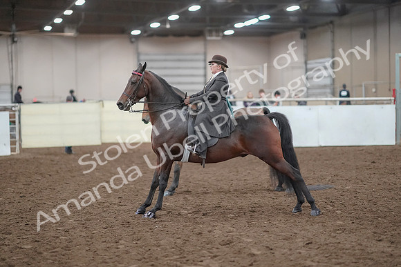 2019 Morgan Horse Show - Aug 30, 2019 - 28268