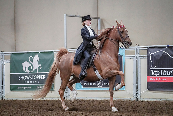 Spring Fling - Saturday - April 20, 2019  -  04183