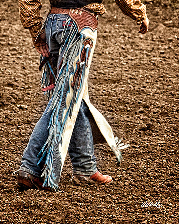 rodeo - 005